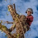 Tree surgeon happy in his job by nigelrogers