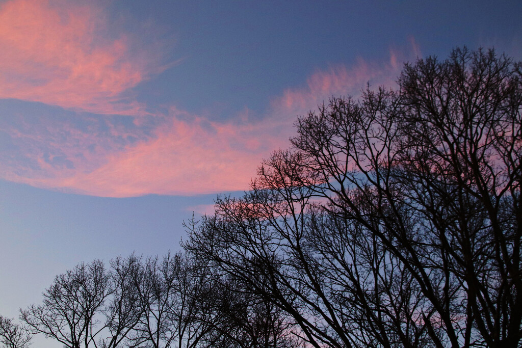 Day 41:  Sky At Dusk by sheilalorson