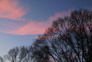 10th Feb 2023 - Day 41:  Sky At Dusk