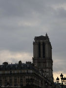 10th Feb 2023 - Notre Dame