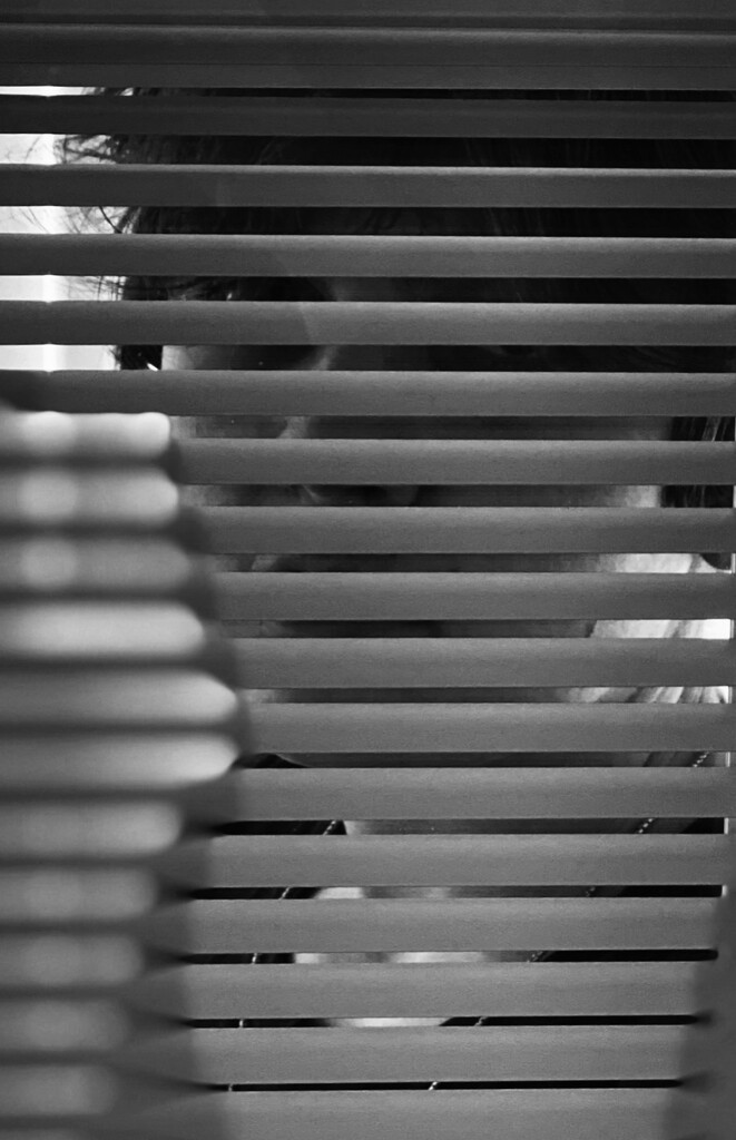 Day 42:  Through The Blinds by sheilalorson