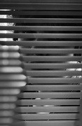 11th Feb 2023 - Day 42:  Through The Blinds