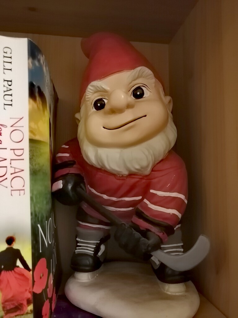 Gordie Gnome  by princessicajessica