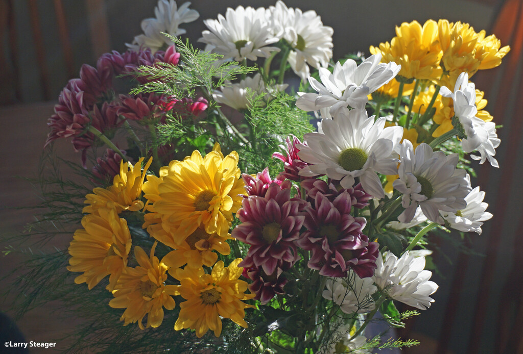 Bouquet of daisies 1 by larrysphotos
