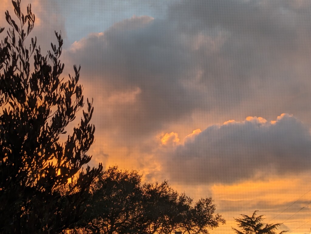 Sunset through screen by kathybc