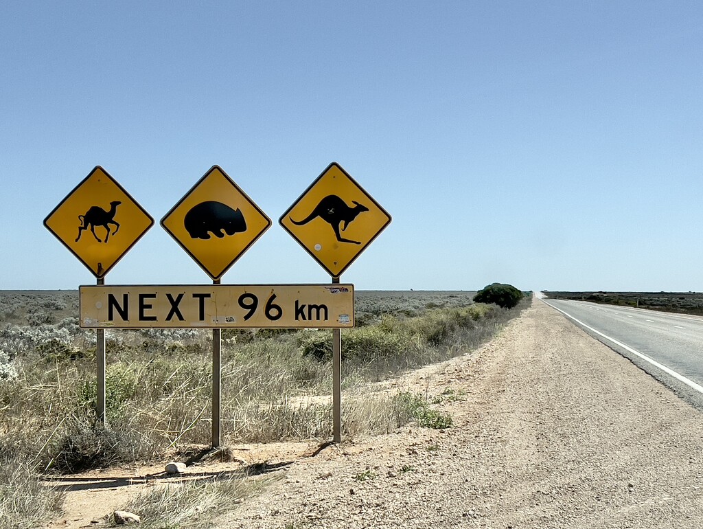 Crossing the Nullarbor by gosia