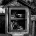 Little Free Library by theredcamera