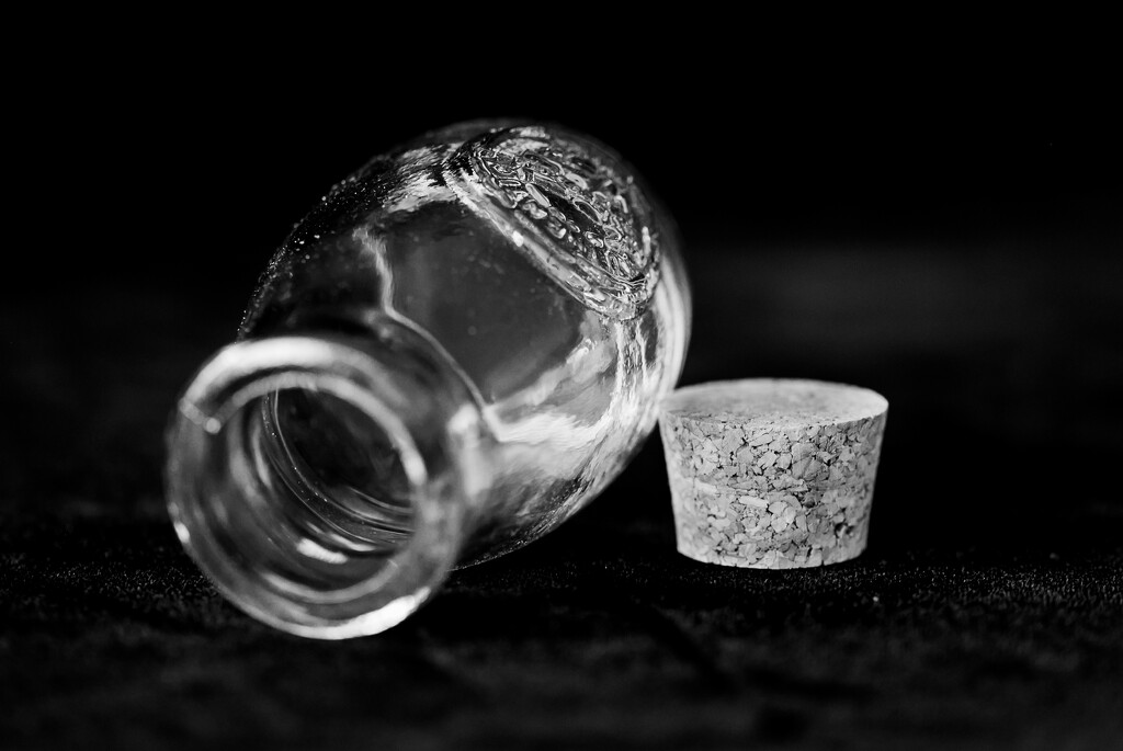 Bottle and Cork by theredcamera