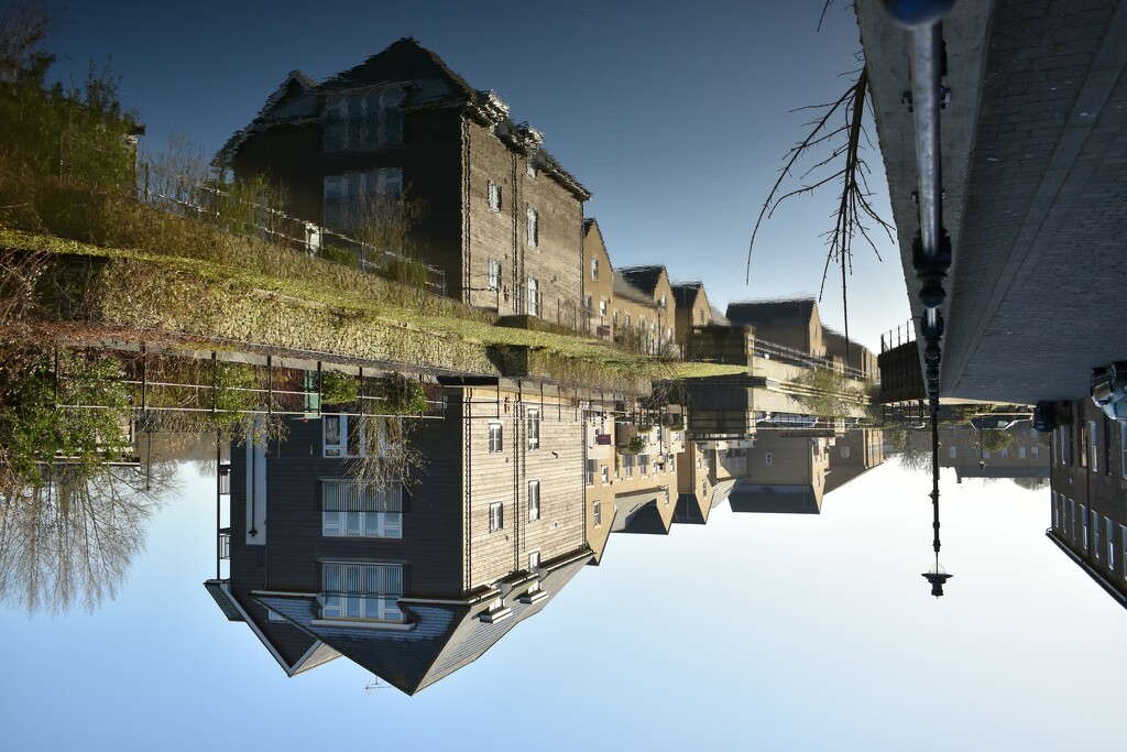 I sometimes like to look at reflections upside down as a bit of a brain twister by anitaw