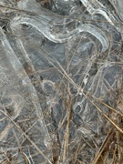 9th Feb 2023 - Ice Patterns