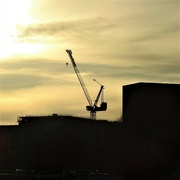 5th Feb 2023 - Crane at Sunset