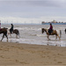 Horses having a paddle by pcoulson