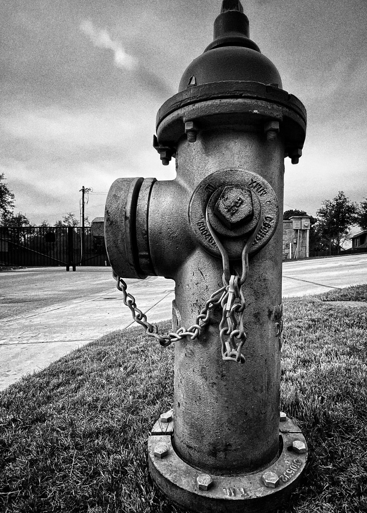 Fire Hydrant  by dkellogg