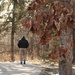My walking partner beyond the oak leaves by mltrotter