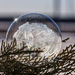 sunburst bubble by aecasey
