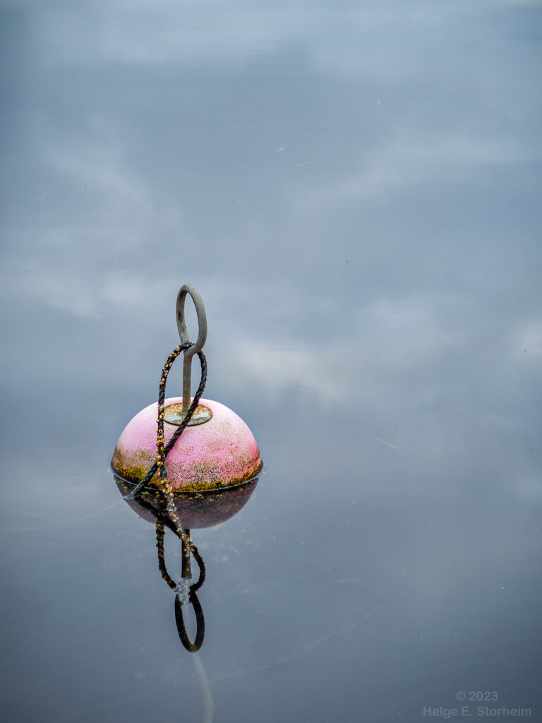 Good buoy :-) by helstor365