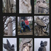 Tree Sculptures  by 30pics4jackiesdiamond