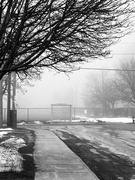 13th Feb 2023 - Foggy Morning