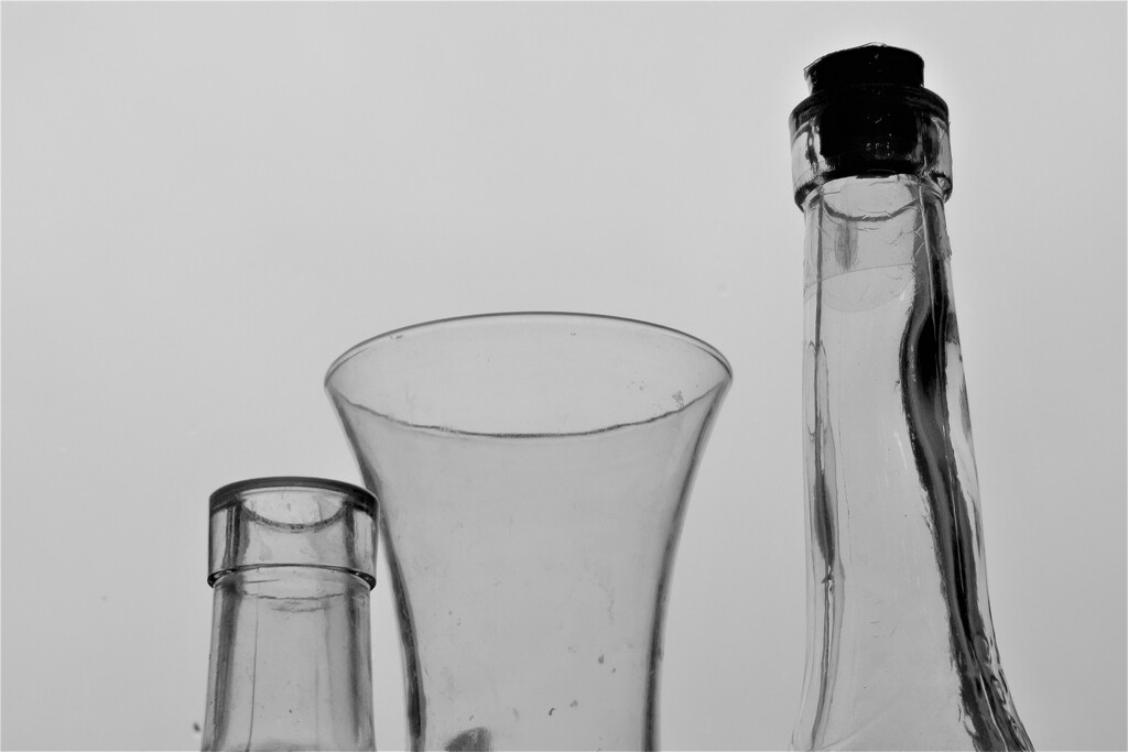 Still-Life  Bottle Neck 1 by granagringa
