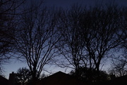 9th Feb 2023 - Rooftop at Twilight in Winter