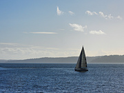 14th Feb 2023 - Sailboat On Puget Sound