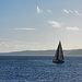 Sailboat On Puget Sound by seattlite