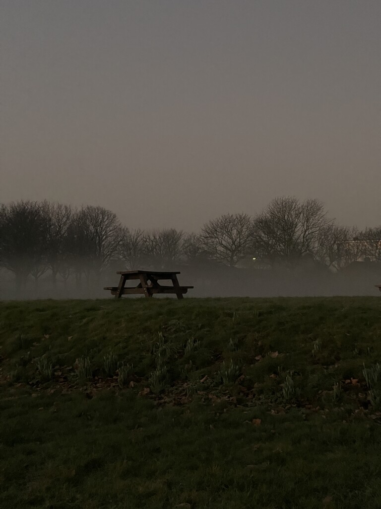 The loneliest park bench by bill_gk
