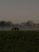 14th Feb 2023 - The loneliest park bench