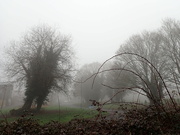 14th Feb 2023 - Foggy morning