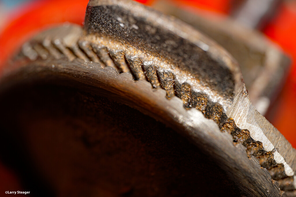 Gears and teeth by larrysphotos