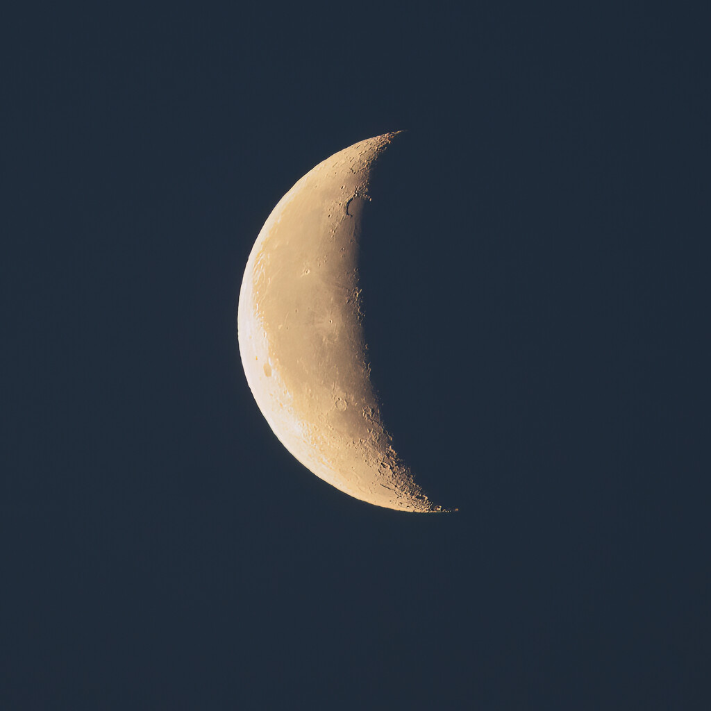 The moon this morning by sjoyce