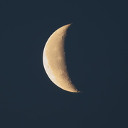 15th Feb 2023 - The moon this morning