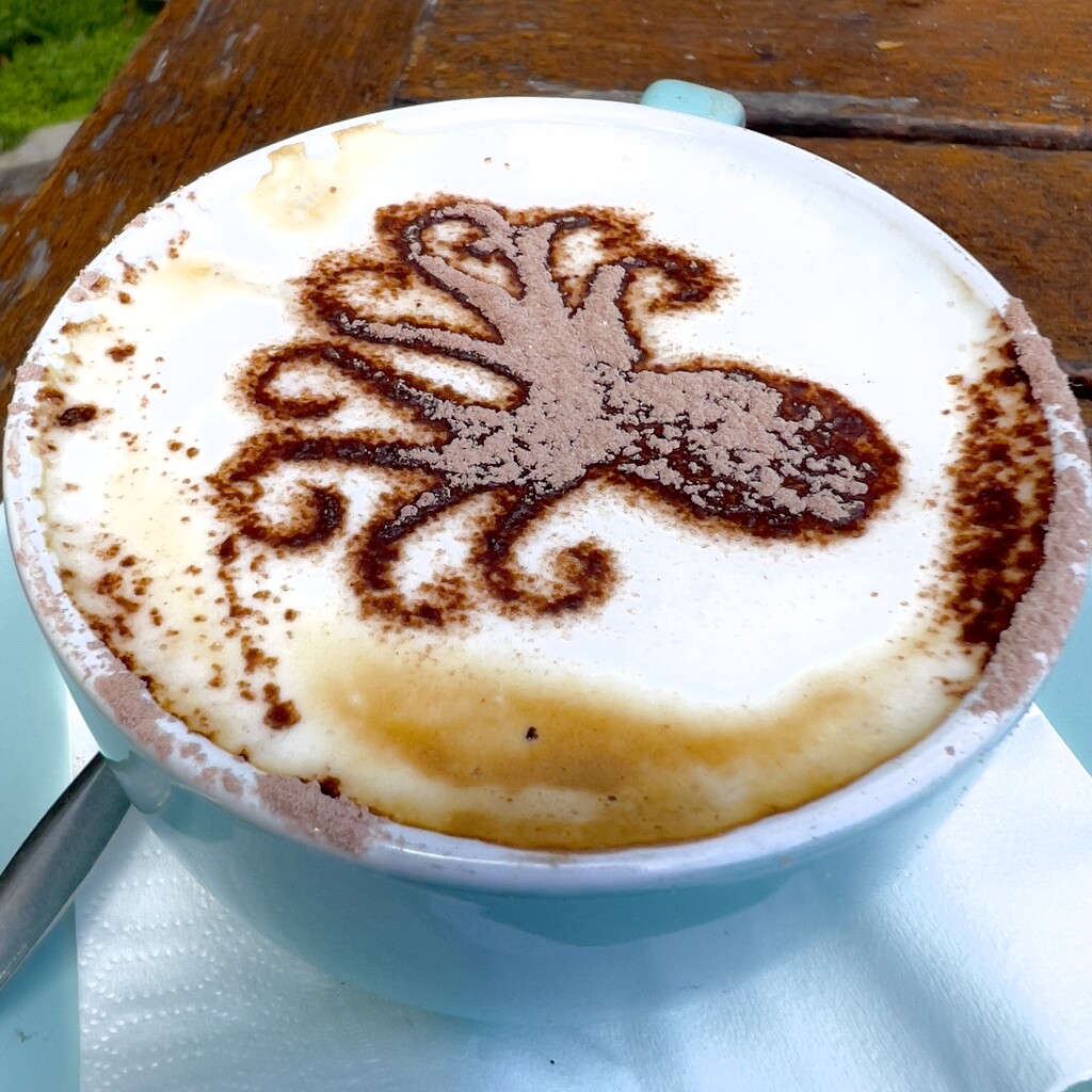 Octopus coffee  by gosia