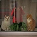 Two cats and Grace55. by grace55