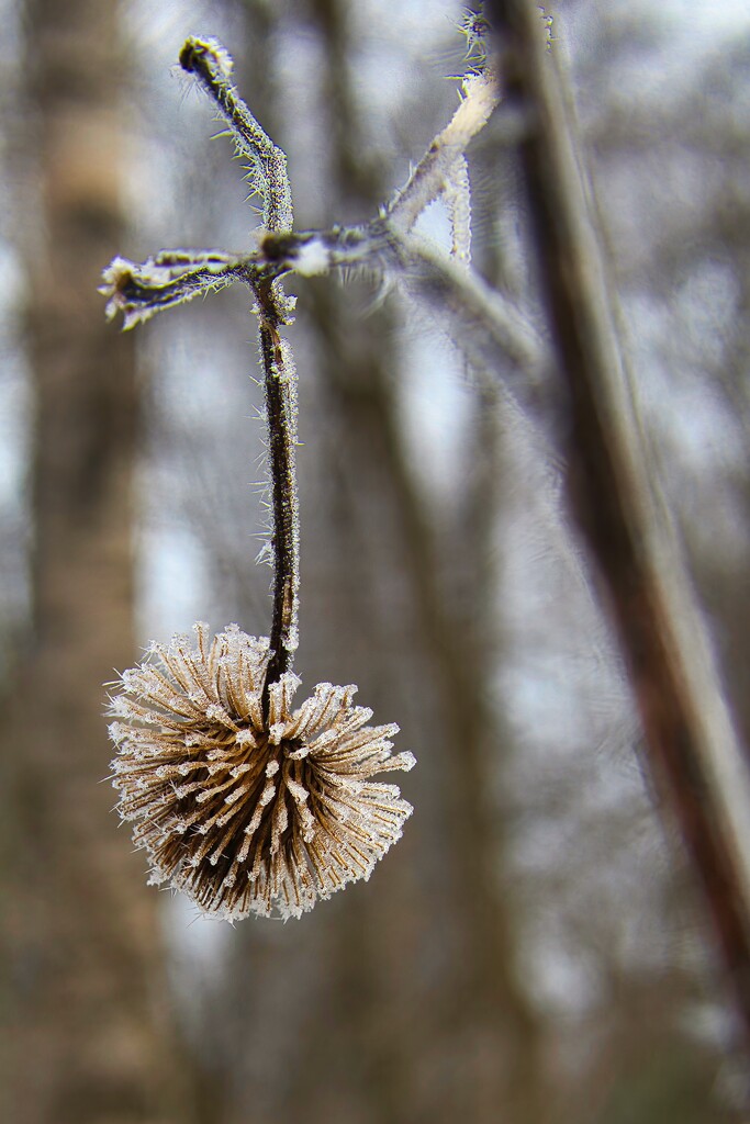 Winter still holds it firm grip on nature by okvalle