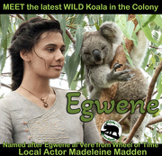 14th Feb 2023 - Meet Egwene