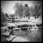 16th Feb 2022 - Franklin Park | Black & White