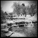 Franklin Park | Black & White by yogiw