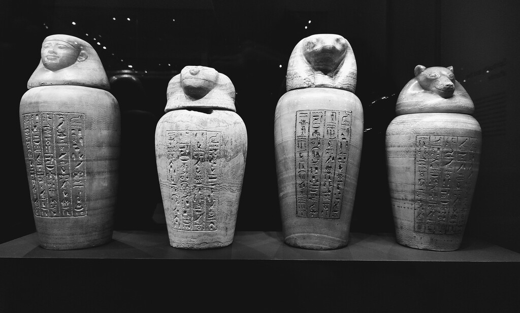 Canopic jars  by boxplayer