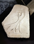 15th Feb 2023 - Egyptian owl 