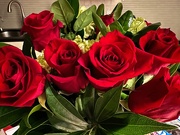 14th Feb 2023 - ~Happy Valentine's Day~