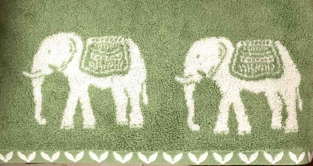 Elephant Towels by arkensiel