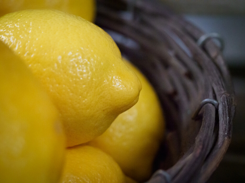 3_Maddy Pennock_Basket of Lemons by marshwader