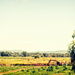 Landscape-55-Morpeth