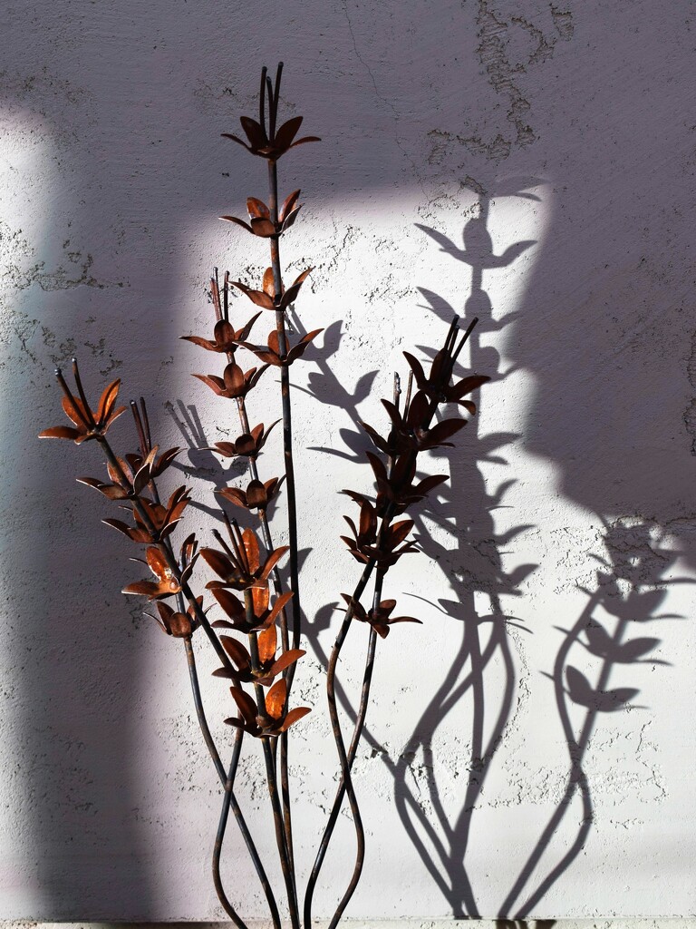 Metal sculpture and shadow by sandlily