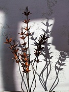 16th Feb 2023 - Metal sculpture and shadow