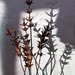 Metal sculpture and shadow by sandlily