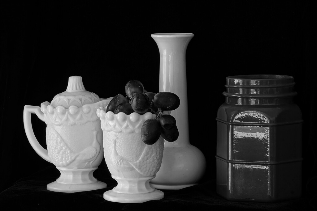 still life4 (b&w, day 16) by amyk