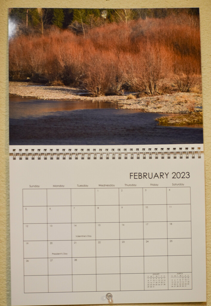February 2023 by bjywamer
