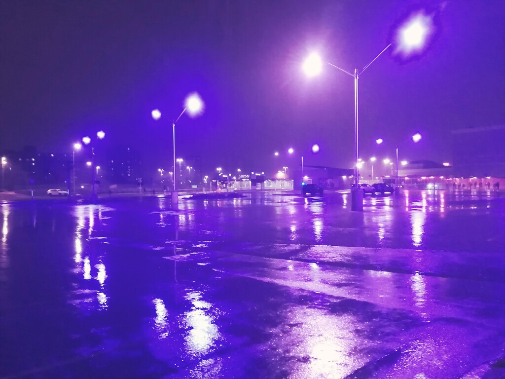 The Purple Parking Lot by princessicajessica